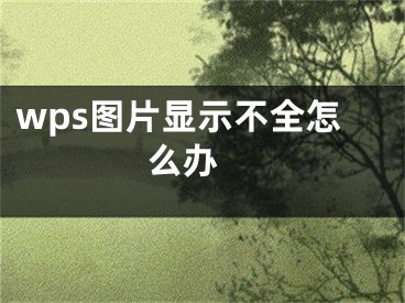 wps圖片顯示不全怎么辦 