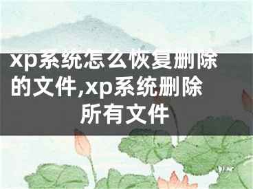 xp系統(tǒng)怎么恢復(fù)刪除的文件,xp系統(tǒng)刪除所有文件