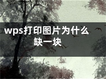 wps打印圖片為什么缺一塊 