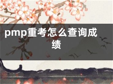 pmp重考怎么查詢成績