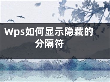 Wps如何顯示隱藏的分隔符 