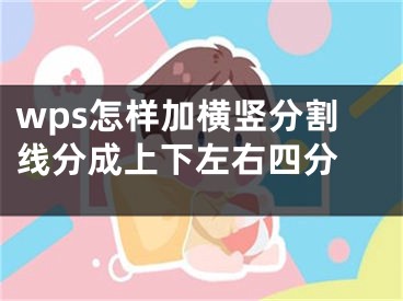 wps怎樣加橫豎分割線分成上下左右四分 