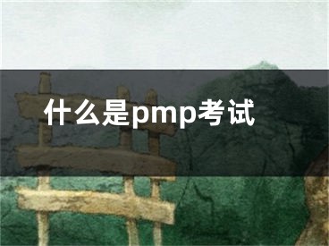 什么是pmp考試