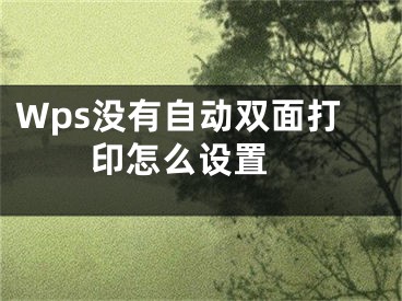 Wps沒有自動(dòng)雙面打印怎么設(shè)置 