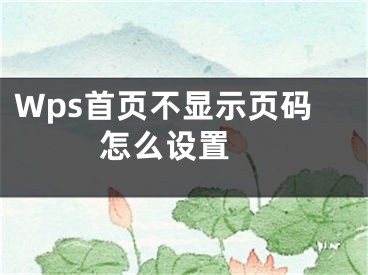 Wps首頁不顯示頁碼怎么設置 