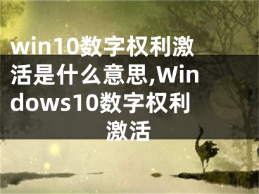 win10數(shù)字權(quán)利激活是什么意思,Windows10數(shù)字權(quán)利激活