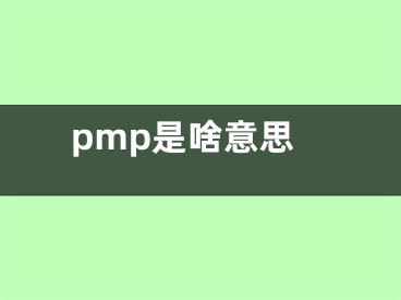 pmp是啥意思