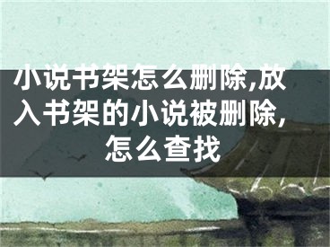 小說書架怎么刪除,放入書架的小說被刪除,怎么查找