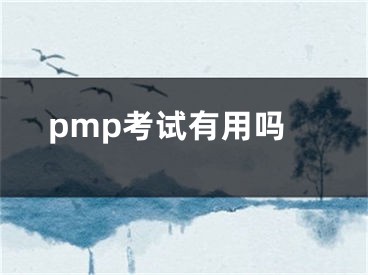 pmp考試有用嗎