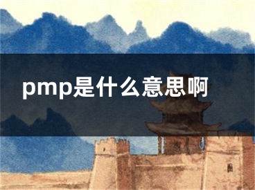 pmp是什么意思啊