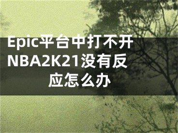 Epic平臺中打不開NBA2K21沒有反應(yīng)怎么辦 