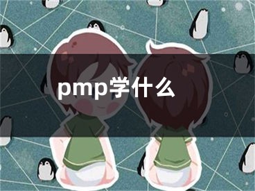 pmp學(xué)什么