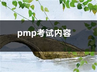 pmp考試內(nèi)容