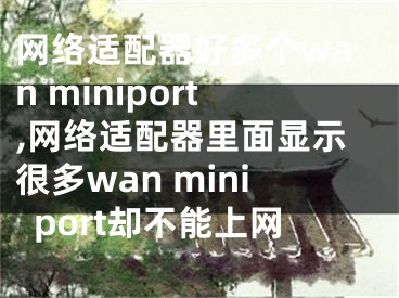 網(wǎng)絡(luò)適配器好多個wan miniport,網(wǎng)絡(luò)適配器里面顯示很多wan miniport卻不能上網(wǎng)