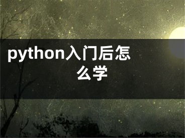 python入門后怎么學