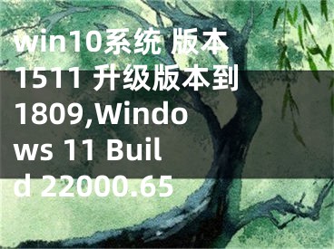 win10系統(tǒng) 版本1511 升級版本到1809,Windows 11 Build 22000.65