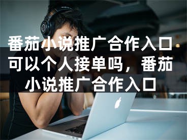 番茄小說推廣合作入口可以個人接單嗎，番茄小說推廣合作入口