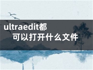 ultraedit都可以打開什么文件