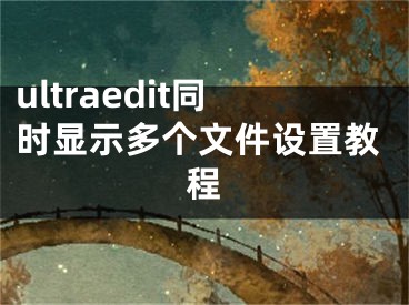 ultraedit同時(shí)顯示多個(gè)文件設(shè)置教程