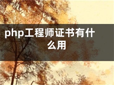 php工程師證書有什么用