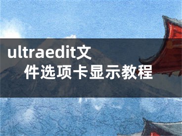 ultraedit文件選項(xiàng)卡顯示教程