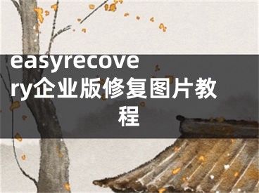 easyrecovery企業(yè)版修復圖片教程