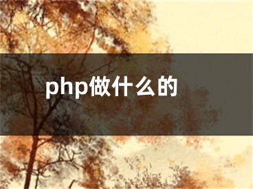 php做什么的