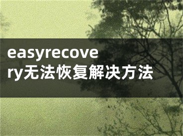 easyrecovery無(wú)法恢復(fù)解決方法