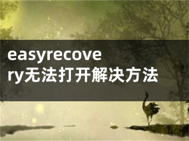 easyrecovery無法打開解決方法