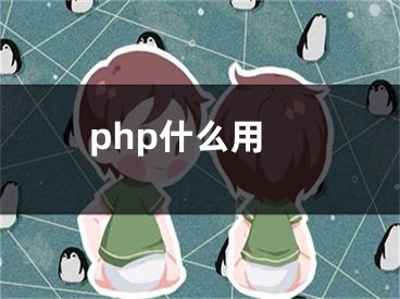 php什么用