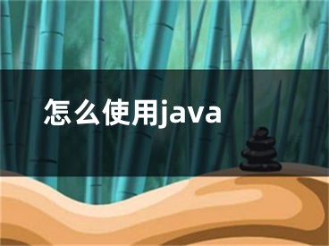 怎么使用java