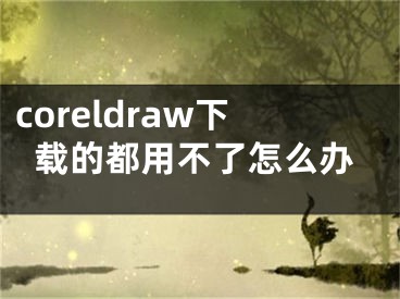 coreldraw下載的都用不了怎么辦