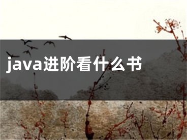 java進(jìn)階看什么書