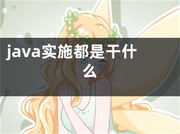 java實(shí)施都是干什么