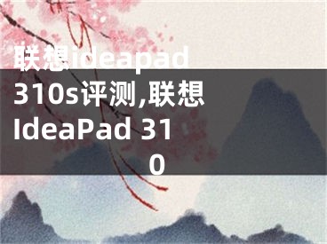 聯(lián)想ideapad 310s評測,聯(lián)想 IdeaPad 310