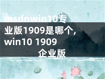 msdnwin10專業(yè)版1909是哪個(gè),win10 1909企業(yè)版