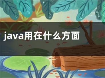 java用在什么方面