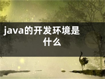 java的開(kāi)發(fā)環(huán)境是什么