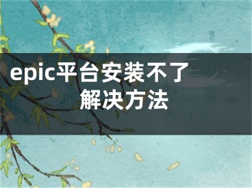 epic平臺安裝不了解決方法