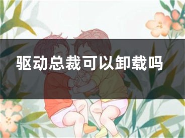 驅(qū)動總裁可以卸載嗎