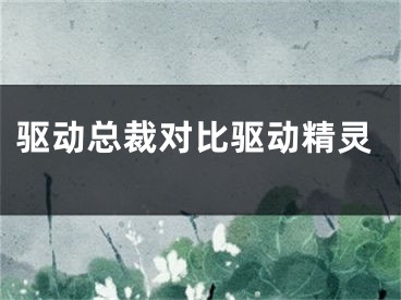 驅動總裁對比驅動精靈