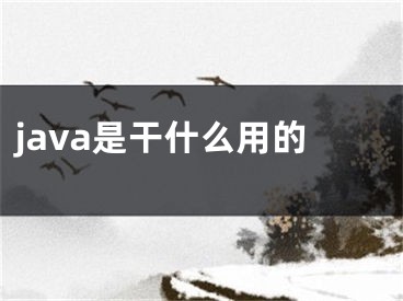 java是干什么用的