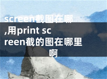 screen截圖在哪,用print screen截的圖在哪里啊