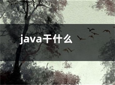 java干什么