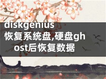 diskgenius恢復(fù)系統(tǒng)盤,硬盤ghost后恢復(fù)數(shù)據(jù)