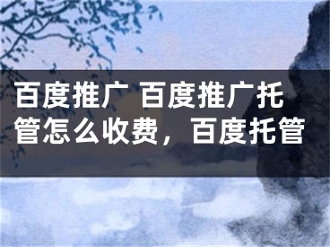 百度推廣 百度推廣托管怎么收費，百度托管