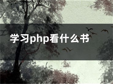 學(xué)習(xí)php看什么書