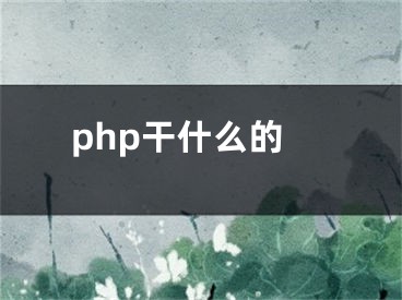 php干什么的