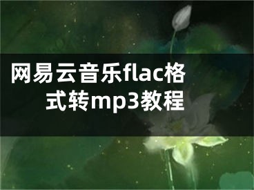 網(wǎng)易云音樂flac格式轉(zhuǎn)mp3教程