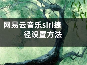 網(wǎng)易云音樂(lè)siri捷徑設(shè)置方法